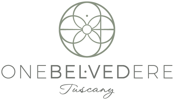 One Belvedere icon