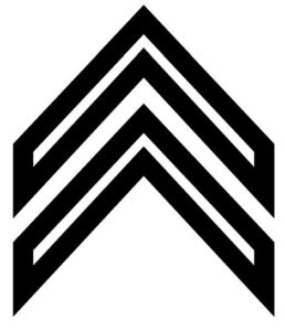 Double arrow icon