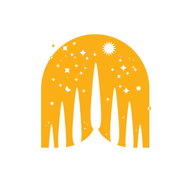 illustration of cypress trees against a starry night sky