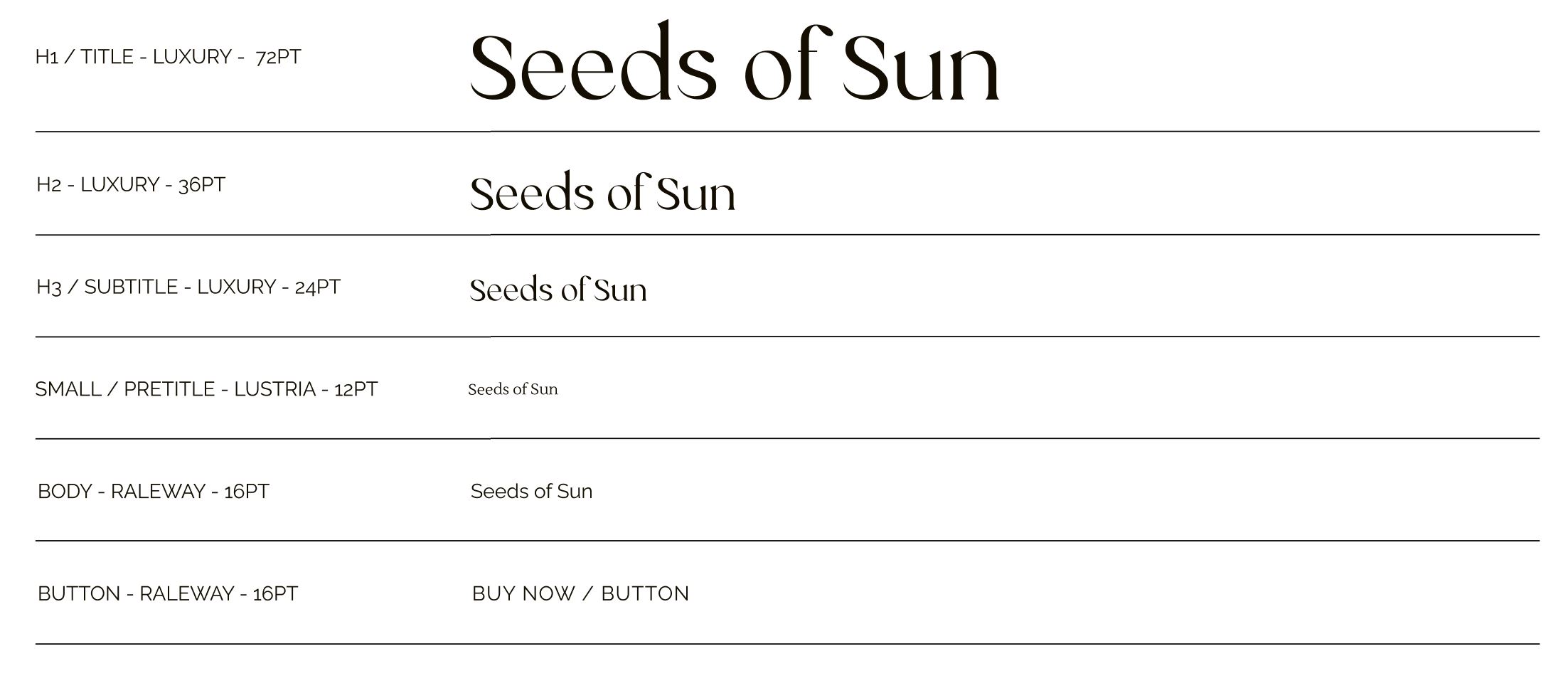Seeds of Sun Typography scale