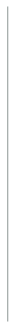 black vertical line