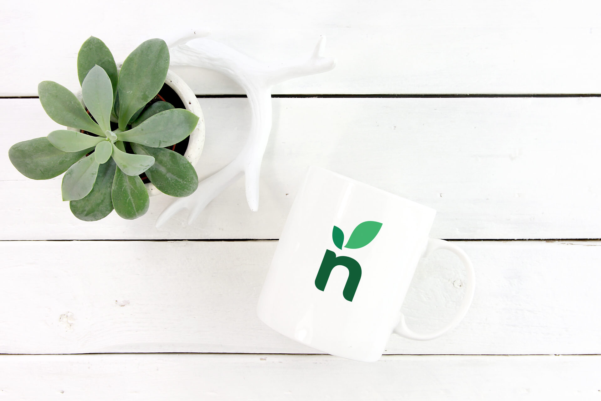 ndogo-farms-cup-2